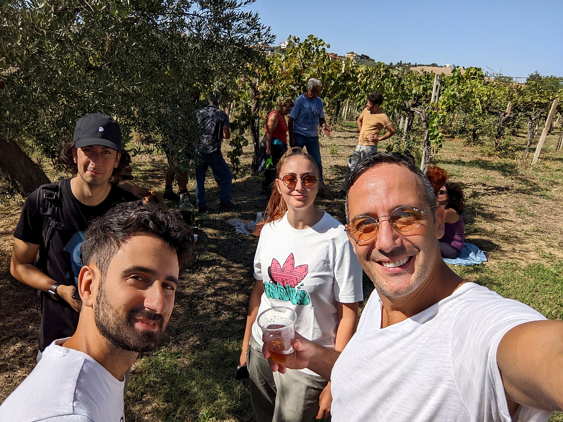 team wainet durante raccolta in vigneto wainet web agency teramo abruzzo