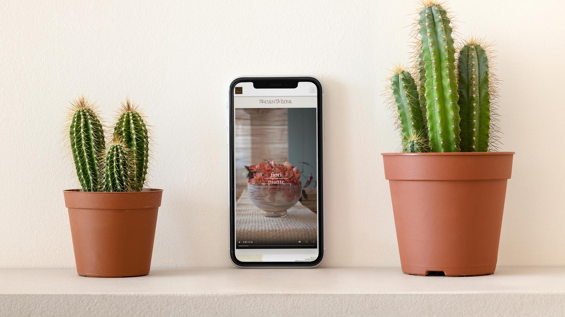 IPhone 13 vicino a cactus con Web Application Social Bruco