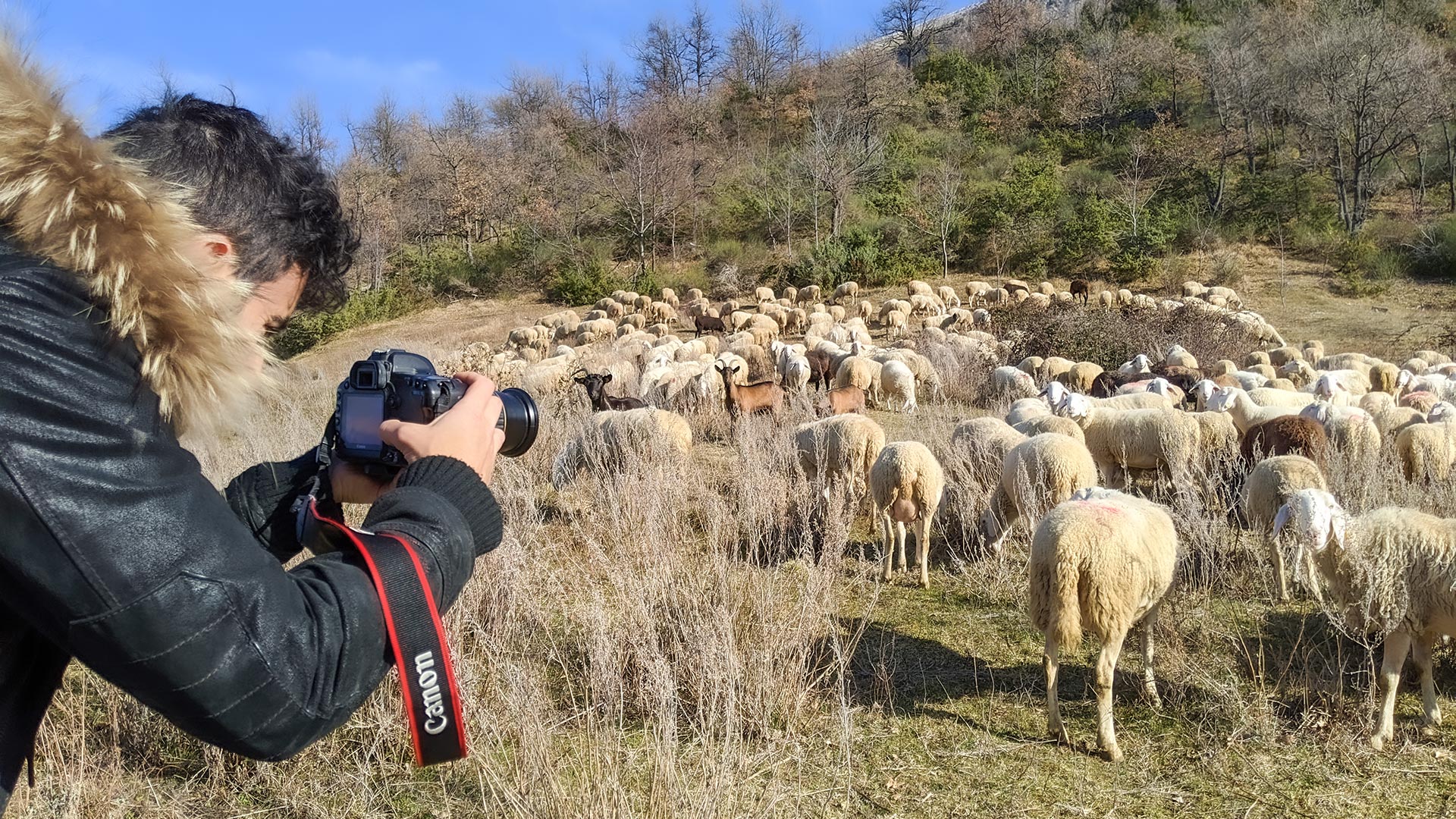 Fotografo durante shooting fotografico a pecore in montagna per Monti della Laga