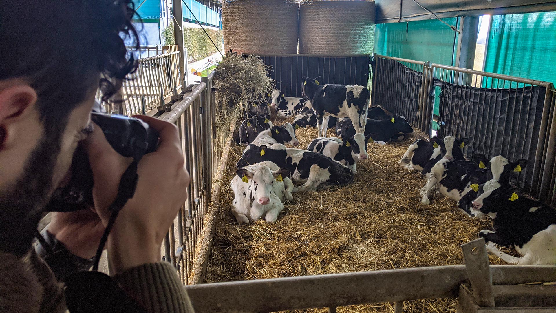 Fotografo durante shooting fotografico agli animali sui Monti della Laga