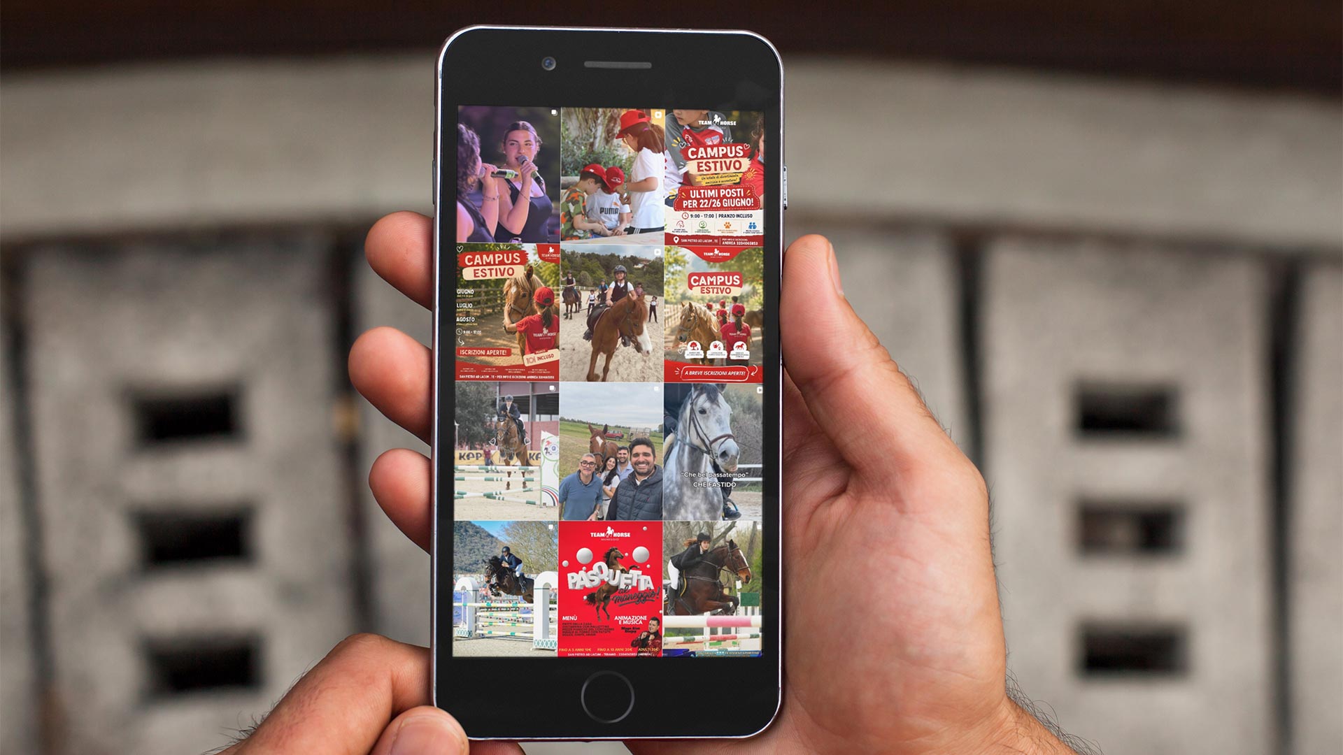 Uomo con iPhone durante la visualizzazione dei contenuti Instagram del Maneggio TeamHorse di Teramo