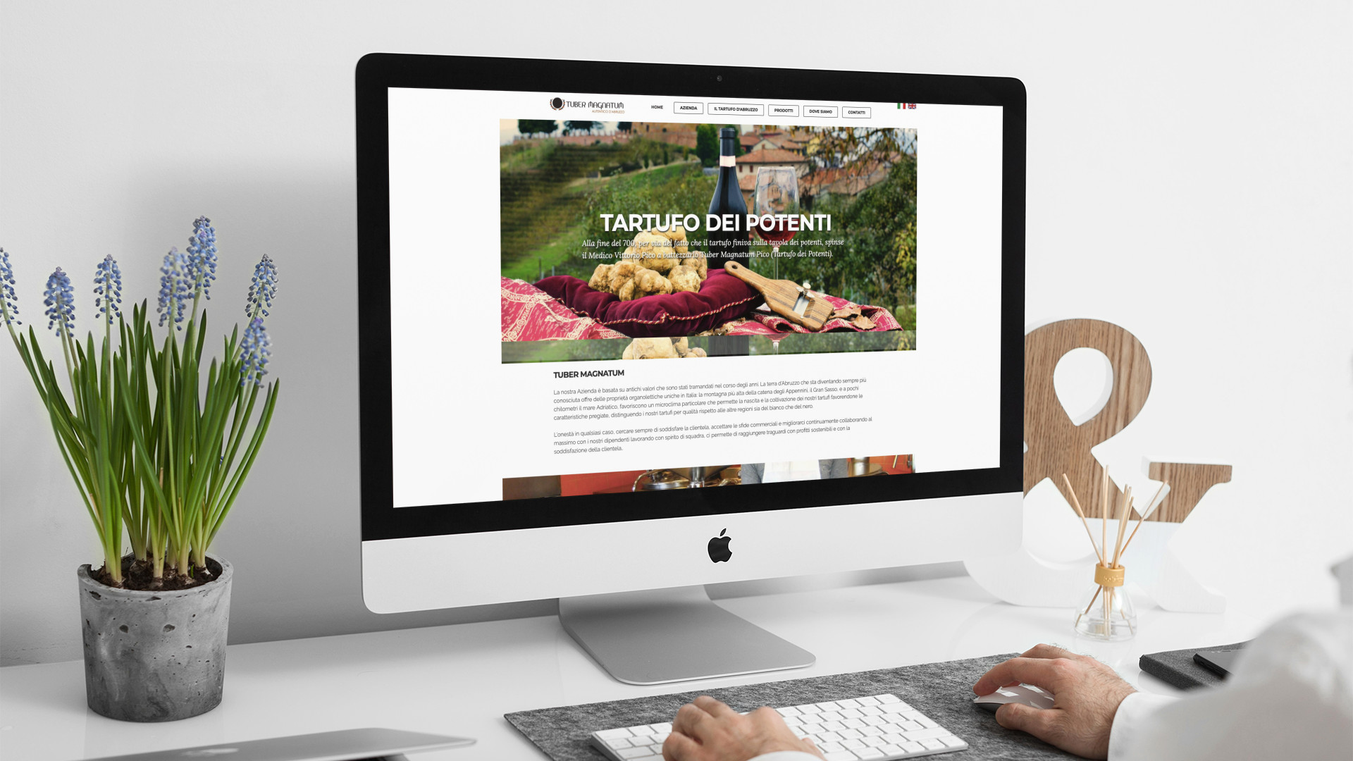 Uomo che guarda sull'iMac la home page del sito web di Tuber Magnatum