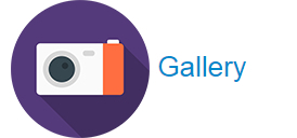 5 icona gallery