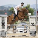 Cavaliere con cavallo baio mentre supera un ostacolo grigio