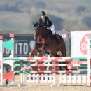 Amazzone con cavallo baio durante il salto di un ostacolo rosso e verde