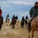 Gruppo Team Horse durante una passeggiata a cavallo sulla spiaggia