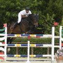 Cavaliere con cavallo baio nel salto di un ostacolo verde e bianco