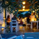 Sala all'aperto dell'home restaurant allestita tra gli ulivi