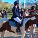 Allievi con cavalli pezzati durante una lezione nel maneggio di Teramo