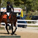 Amazzone con cavallo baio a passo nel campo di gara