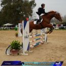 Amazzone e cavallo baio fotografati lateralmente durante un salto