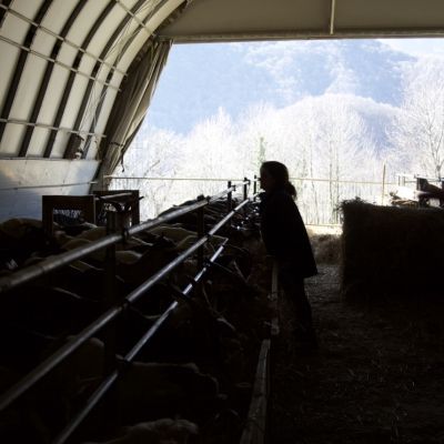 Vista dei monti innevati dall'interno della stalla