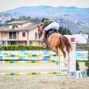 Amazzone con cavallo baio nella fase di volo sopra l'ostacolo