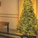 Grande albero di Natale illuminato in un salone