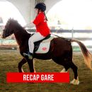 Grafica Team Horse con riepilogo delle gare equestri