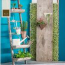 Scala in legno con piccoli vasi e piante davanti a una parete azzurra