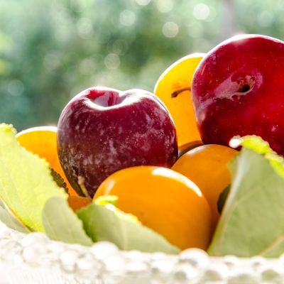 Cestino con frutta fresca di stagione per la colazione
