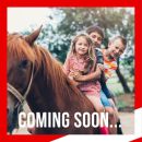Grafica Team Horse con bambini e cavallo per una nuova attività in arrivo