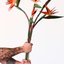 Mano tatuata che regge un mazzo di fiori di strelitzia