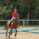 Amazzone con cavallo sauro mentre affronta un ostacolo azzurro