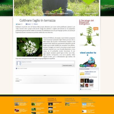 Pagina articolo del sito internet Vogliamoci Bene