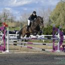 Amazzone con cavallo scuro mentre supera un ostacolo viola