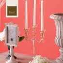 Candele rosa con candelabro e vasi su sfondo corallo