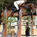 Amazzone con cavallo baio durante il salto di un ostacolo alto