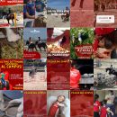 Feed Instagram Team Horse con lezioni di equitazione e cura quotidiana dei cavalli