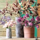 Vasi in ceramica con composizioni di fiori secchi colorati