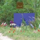 Giardino fiorito con pannello viola e composizioni decorative