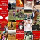 Feed Instagram Team Horse con campus, passeggiate a cavallo ed eventi all'aperto