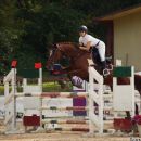 Amazzone con cavallo baio durante un salto su ostacolo bianco e rosso