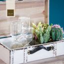 Cactus e bicchieri su un vassoio appoggiato a una valigia bianca