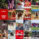 Feed Instagram Team Horse con campus estivo, lezioni e attività a cavallo