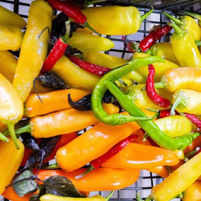 Punto vendita Mamagio a Mosciano Sant'Angelo con prodotti naturali coltivati a km zero