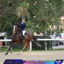 Amazzone con cavallo baio al trotto durante una gara