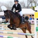 Amazzone con cavallo baio ripresa frontalmente durante un salto