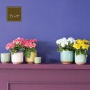 Vasi colorati con fiori rosa, bianchi e gialli su mensola viola