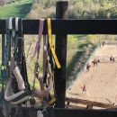 Selle e finimenti appesi alla staccionata del Maneggio Team Horse di Teramo