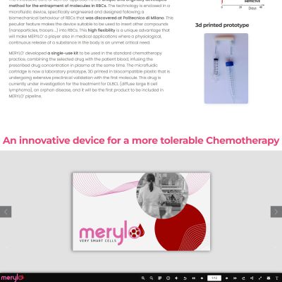 Pagina Progetto del sito web di Merylo'
