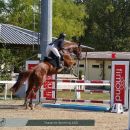 Amazzone con cavallo baio durante il salto di un ostacolo rosso