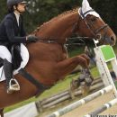 Amazzone e cavallo baio ripresi da vicino durante un salto
