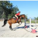 Bambina a cavallo durante il salto di un piccolo ostacolo nel maneggio