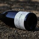 Bottiglia vino Tenuta Trium su terreno vigneto Notaresco Teramo