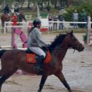 Cavaliere con cavallo baio al galoppo nell'arena
