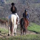 Due cavalieri durante una passeggiata a cavallo in un sentiero boschivo