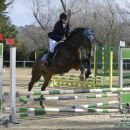 Amazzone del Team Horse mentre supera un ostacolo verde