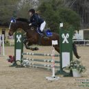 Amazzone con cavallo baio durante il salto di un ostacolo verde e bianco