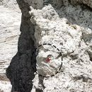 Escursione Grotte Marine di Vieste con Motobarche Leonarda